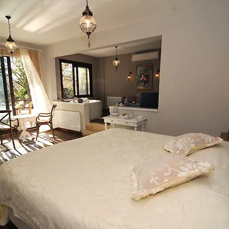 Beyaz Ev - Adult Only +15